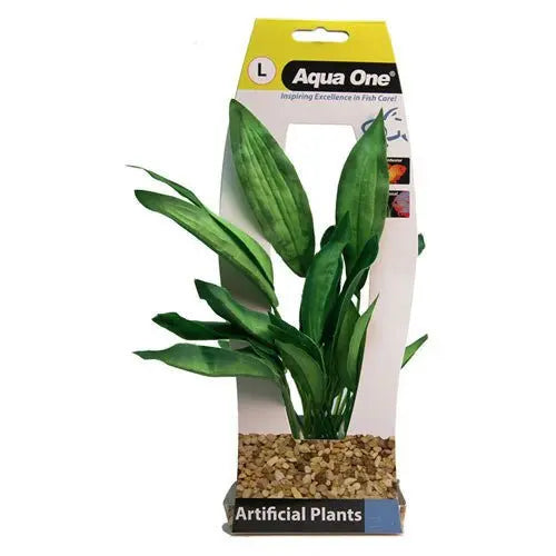 Silk Plant Echinodorus Large - Kellyville Pets