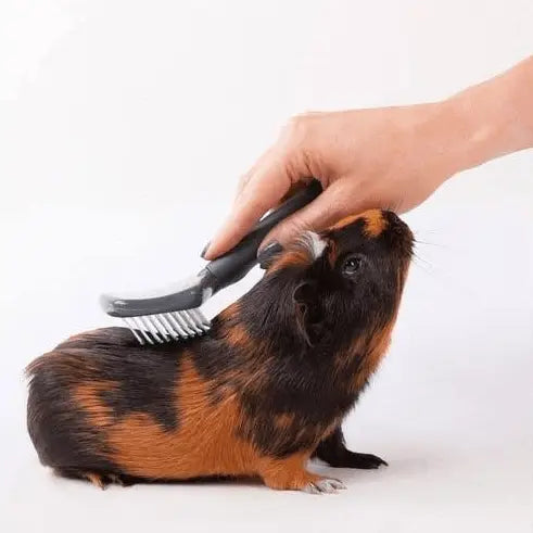 Slicker Brush Small Animal - Kellyville Pets
