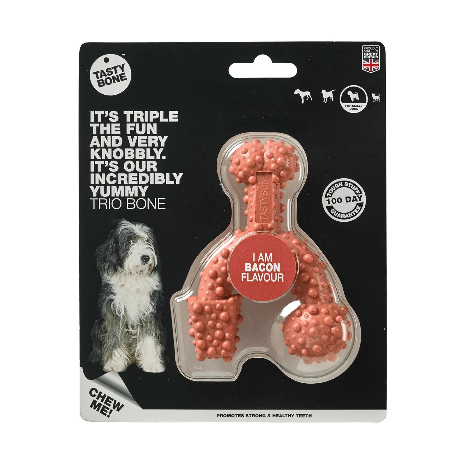 Tasty Bone Nylon Trio Bacon Dog Toy - Kellyville Pets