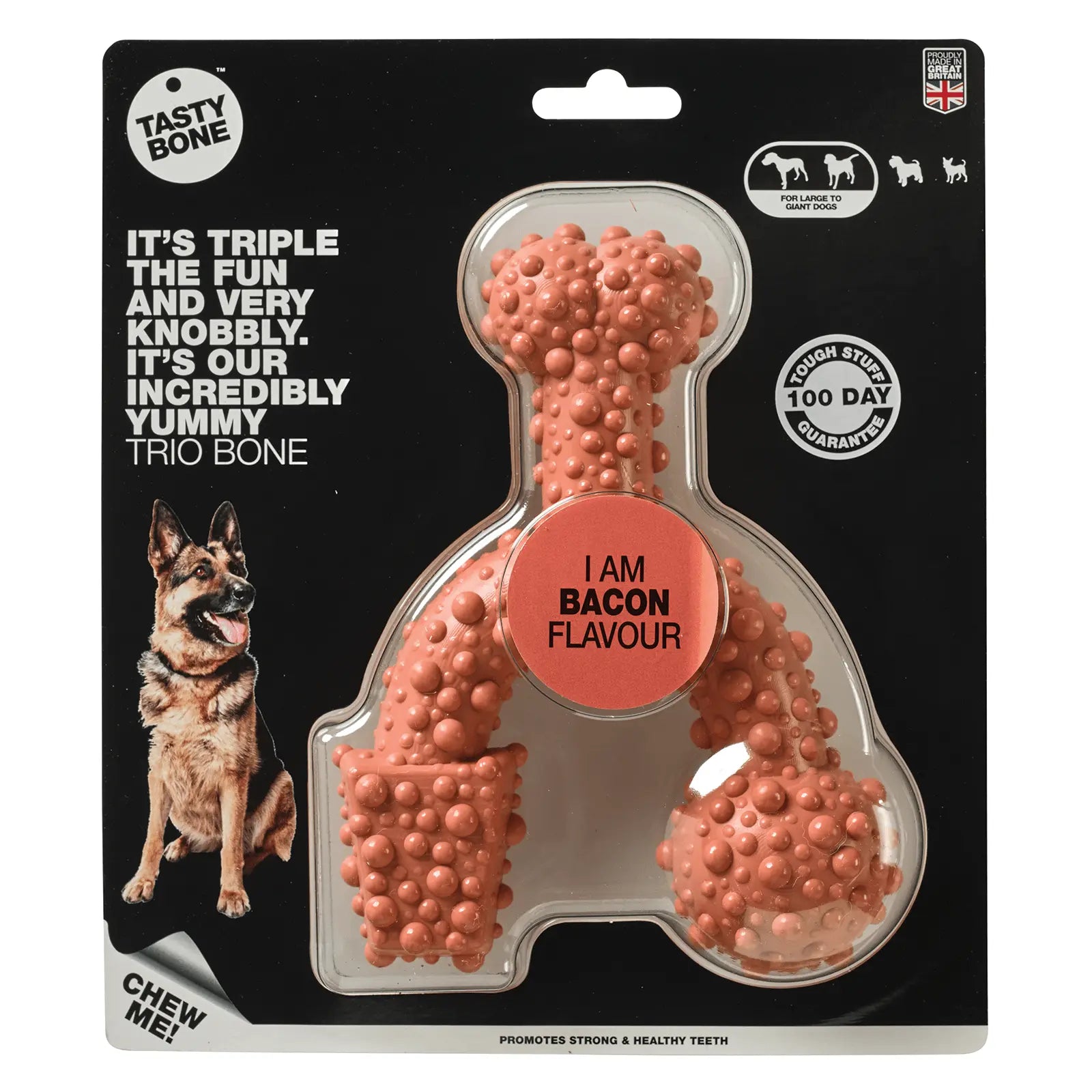 Tasty Bone Nylon Trio Bacon Dog Toy - Kellyville Pets