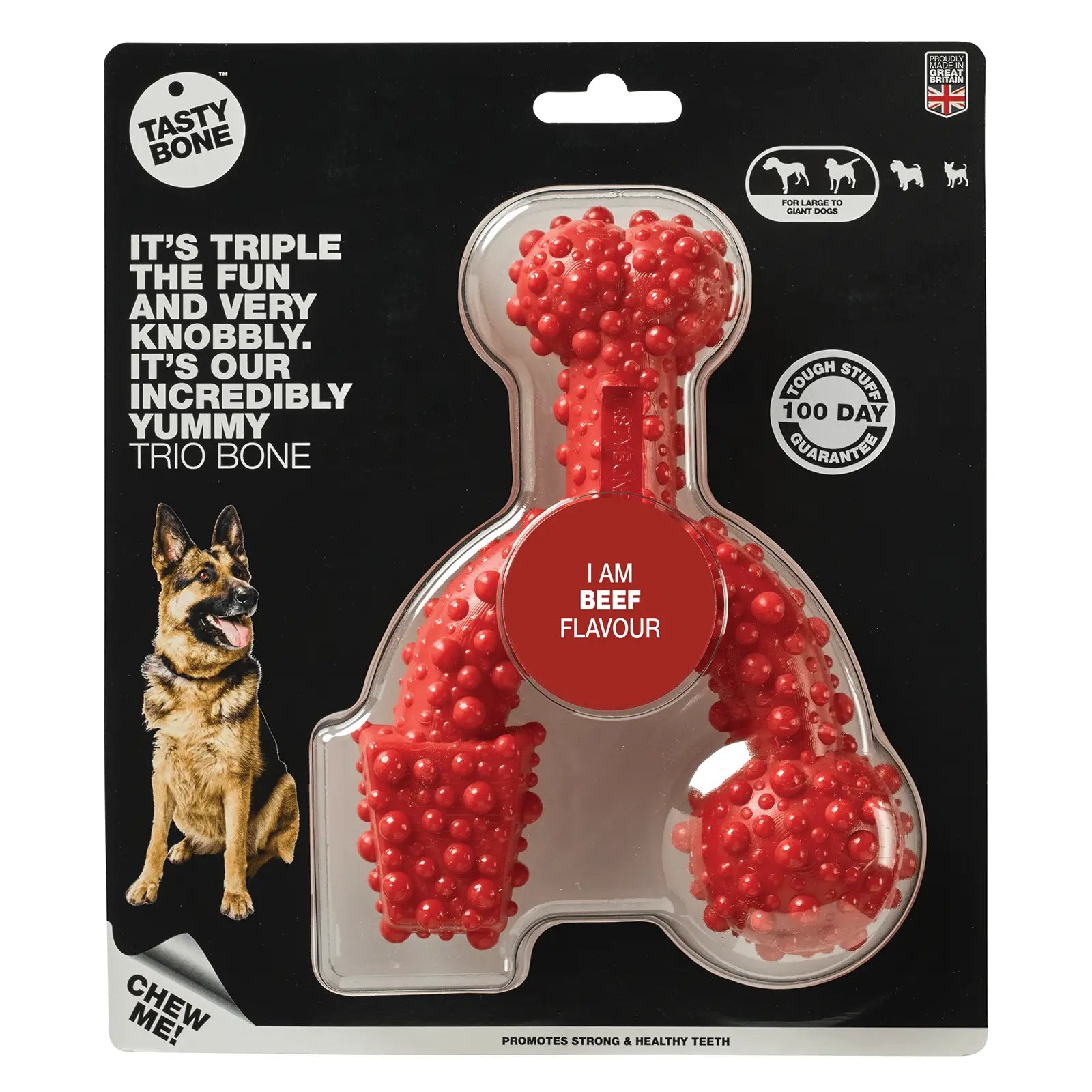 Tasty Bone Nylon Trio Beef Dog Toy - Kellyville Pets