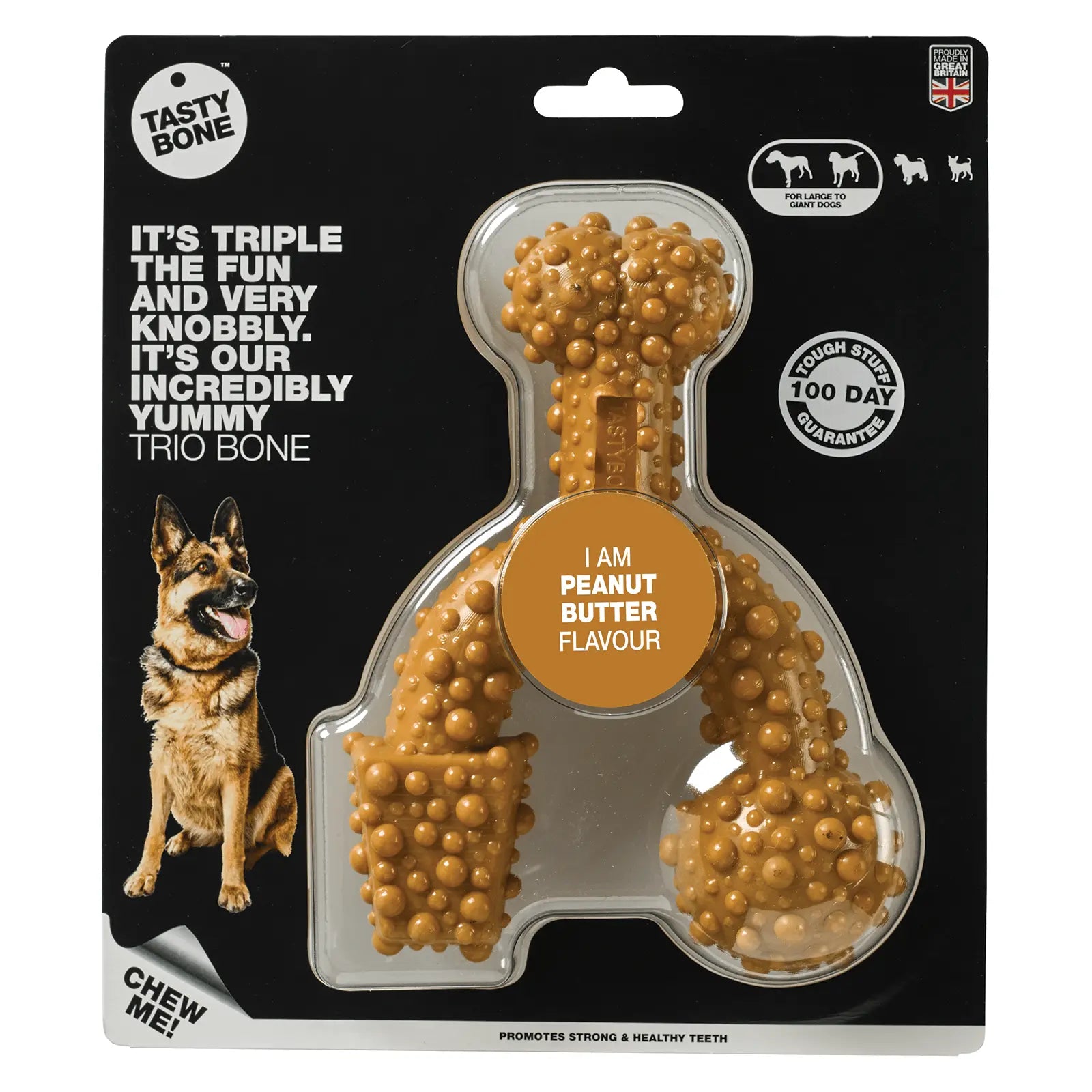 Tasty Bone Nylon Trio Peanut Butter Dog Toy - Kellyville Pets