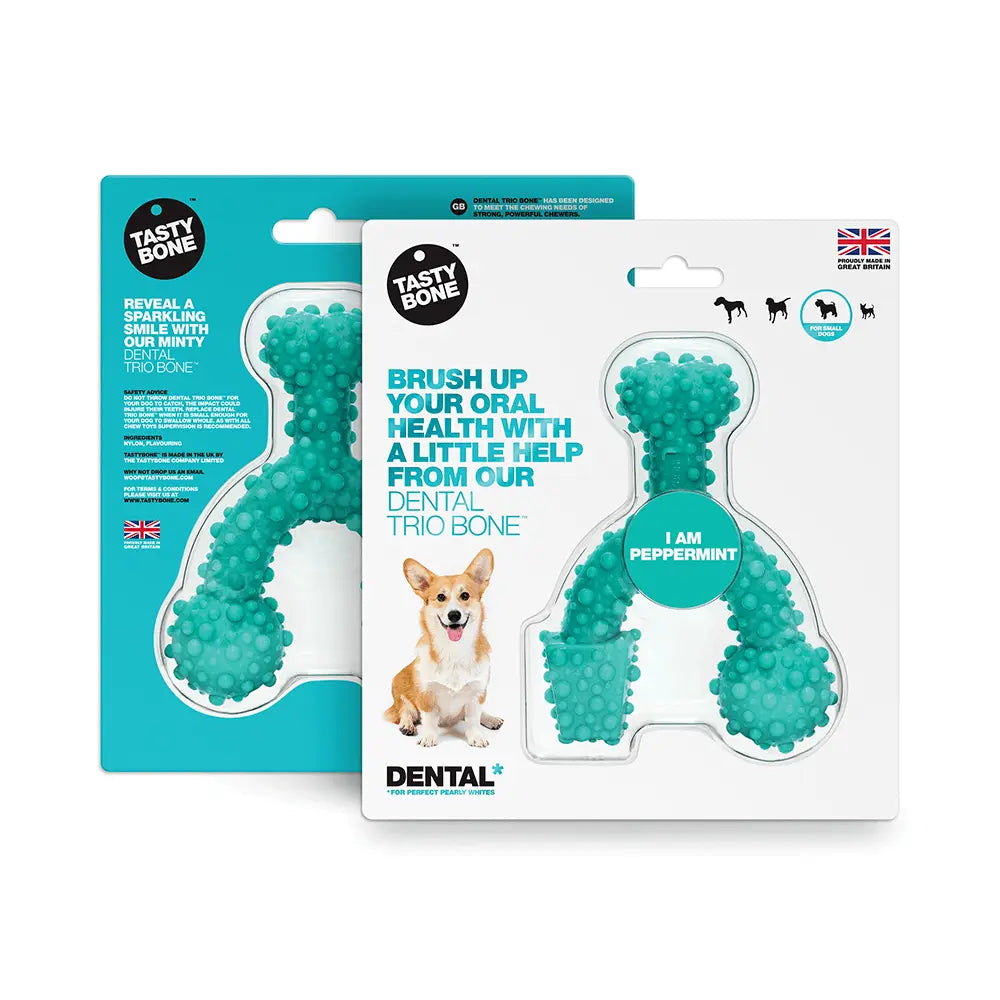 Tasty Bone Nylon Trio Peppermint Dog Toy - Kellyville Pets