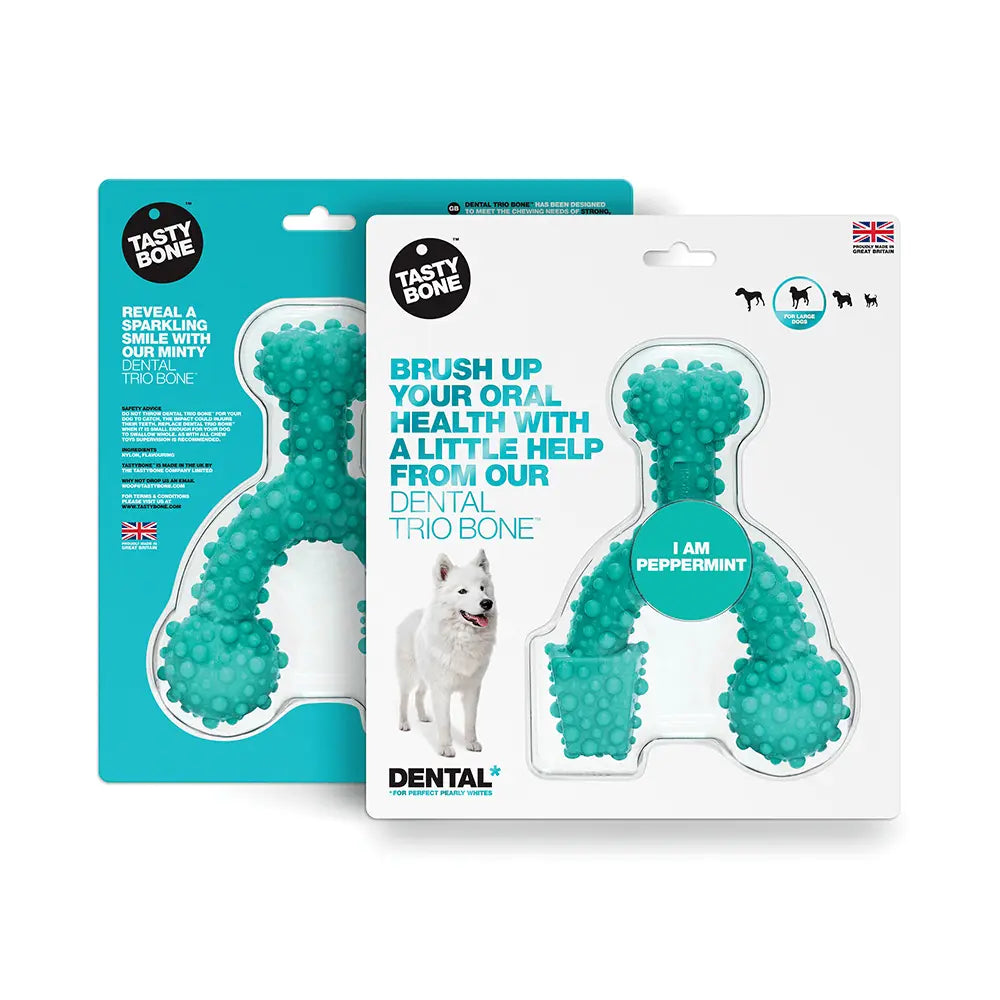 Tasty Bone Nylon Trio Peppermint Dog Toy - Kellyville Pets