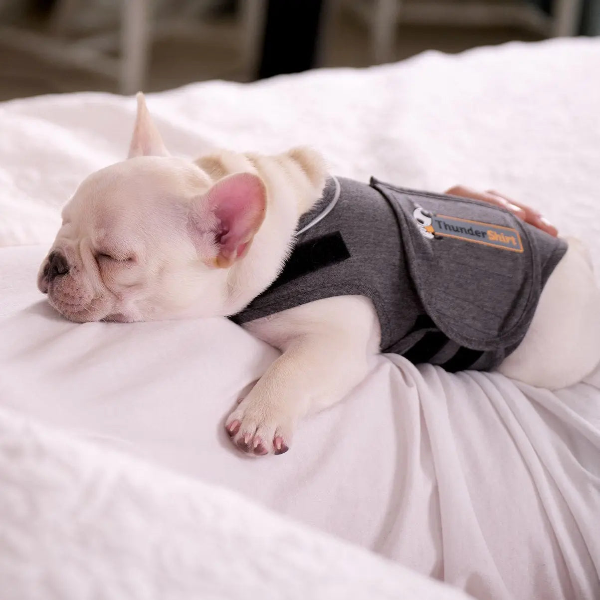 Thunderworks ThunderShirt for Dogs - Kellyville Pets