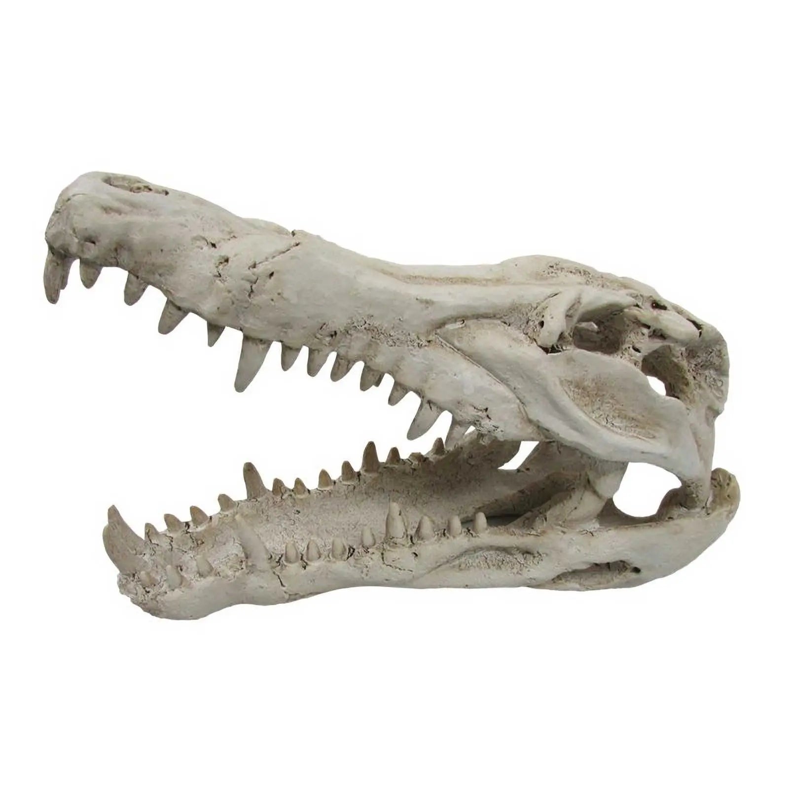 URS Ornament Crocodile Skull - Kellyville Pets
