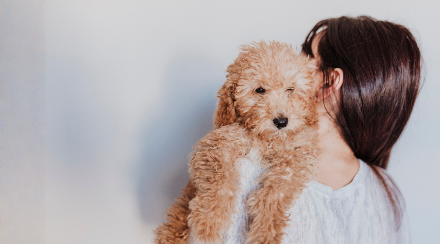 Complete Guide to Raising a Puppy