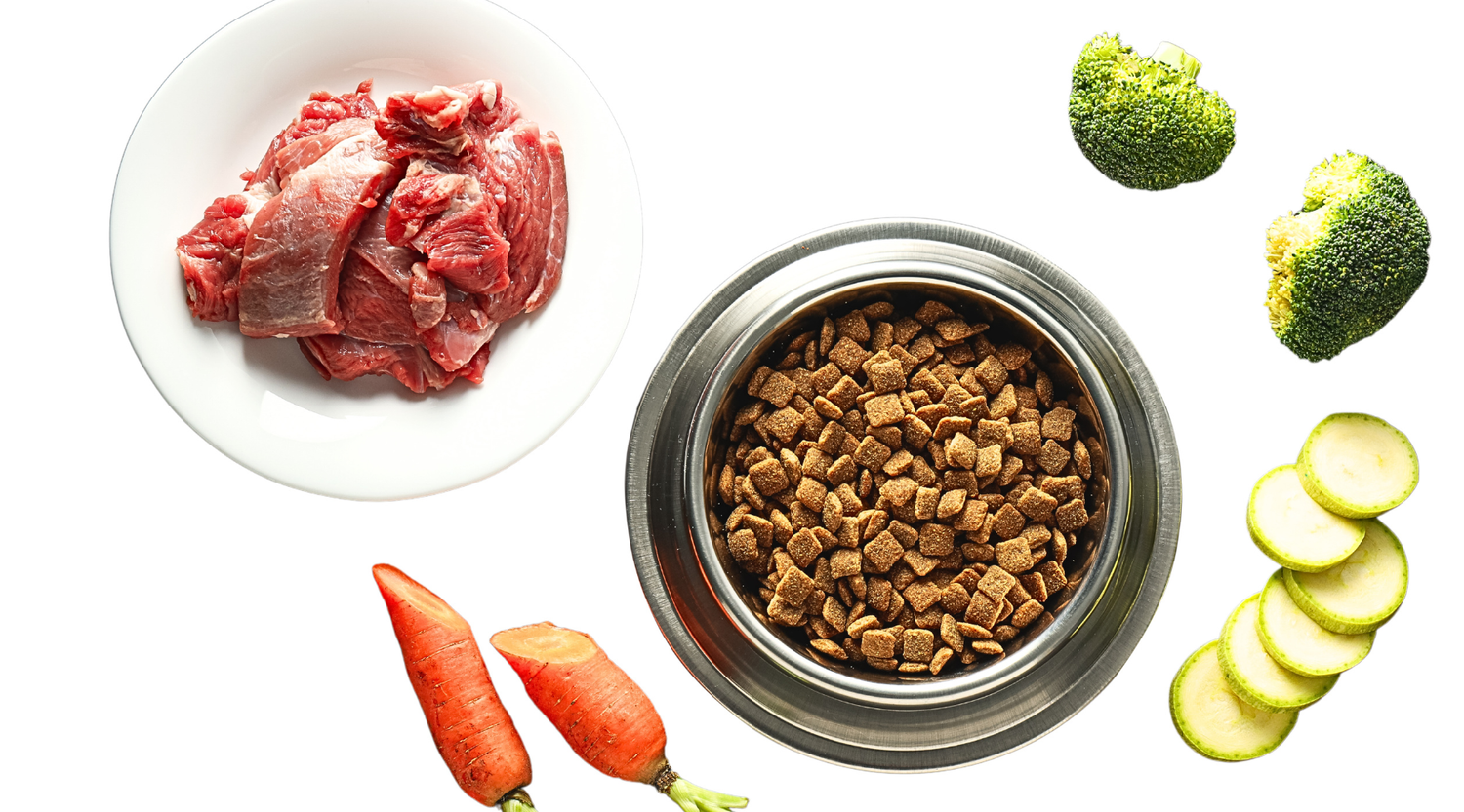 Dog Nutrition Guide: Choosing the Right Balanced Diet for Your Dog