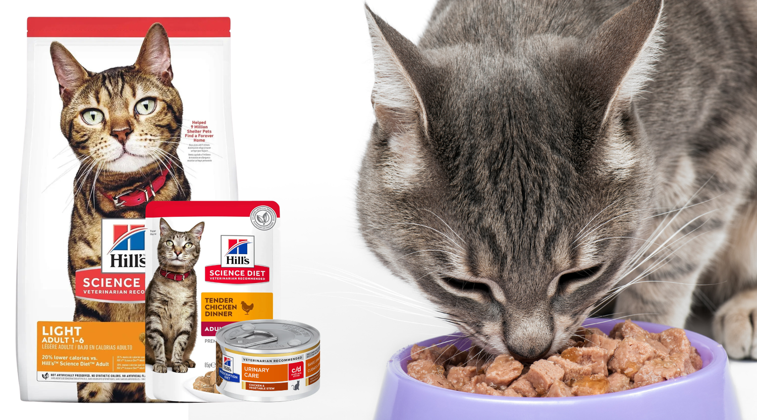 Why Australian Vets Recommend Hill’s Science Diet for Cats