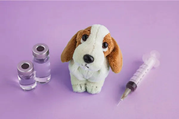 C3, C5 or C7? Understanding Your Dog's Annual Vaccination Options