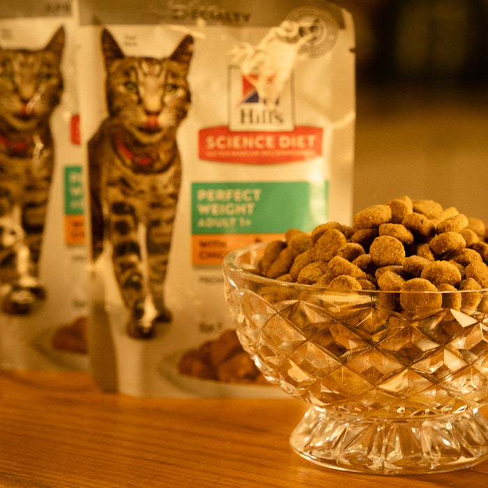 The Importance Of Feeding Super Premium Food To Your Cat
