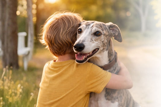 Bringing Your Greyhound Home: The First 30 Days