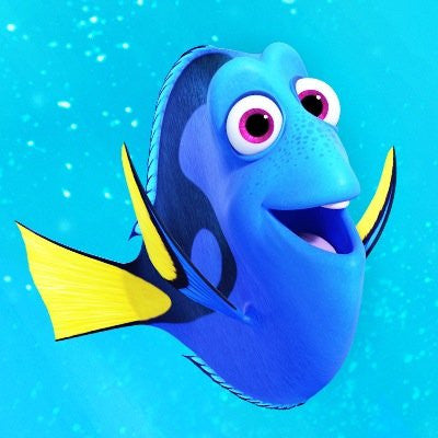Why Dory is not a good pet.