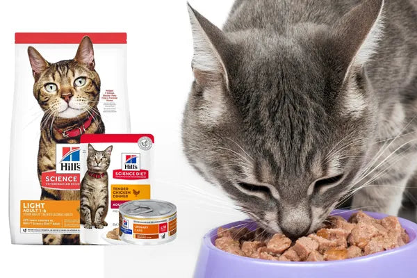 Why Australian Vets Recommend Hill’s Science Diet for Cats