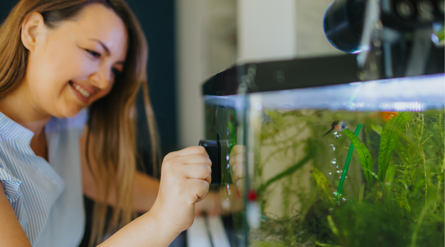 How Often Should You Clean Your Fish Tank? A Practical Guide for Australian Fish Keepers