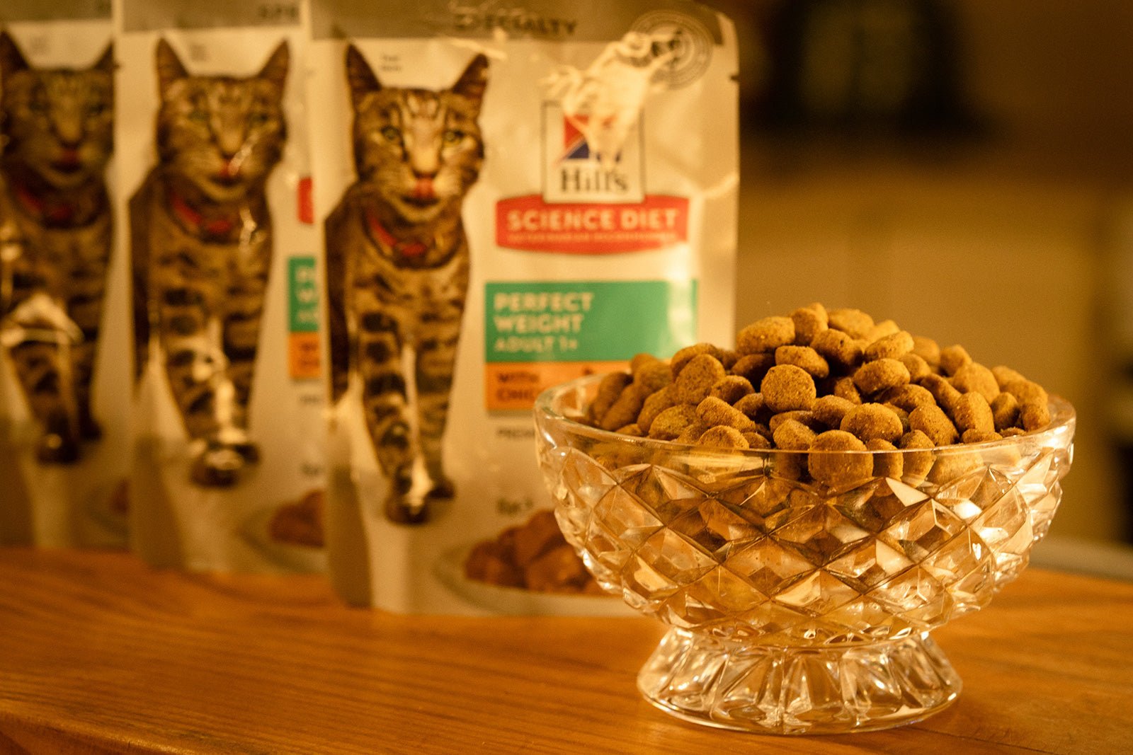 The Importance Of Feeding Super Premium Food To Your Cat - Kellyville Pets