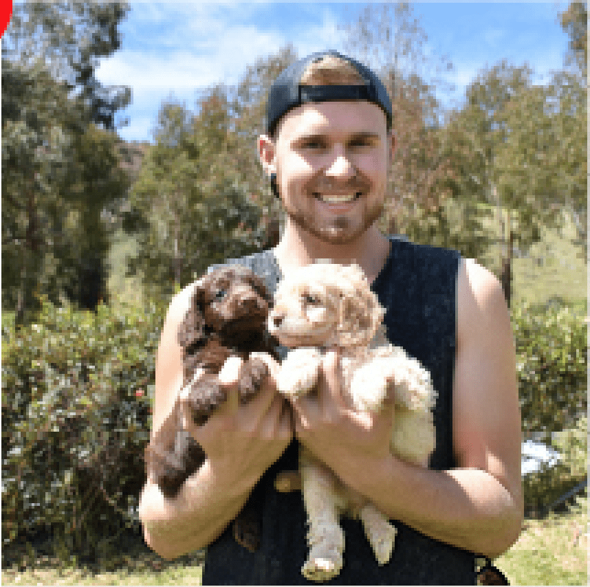 Where do our puppies come from? - Kellyville Pets
