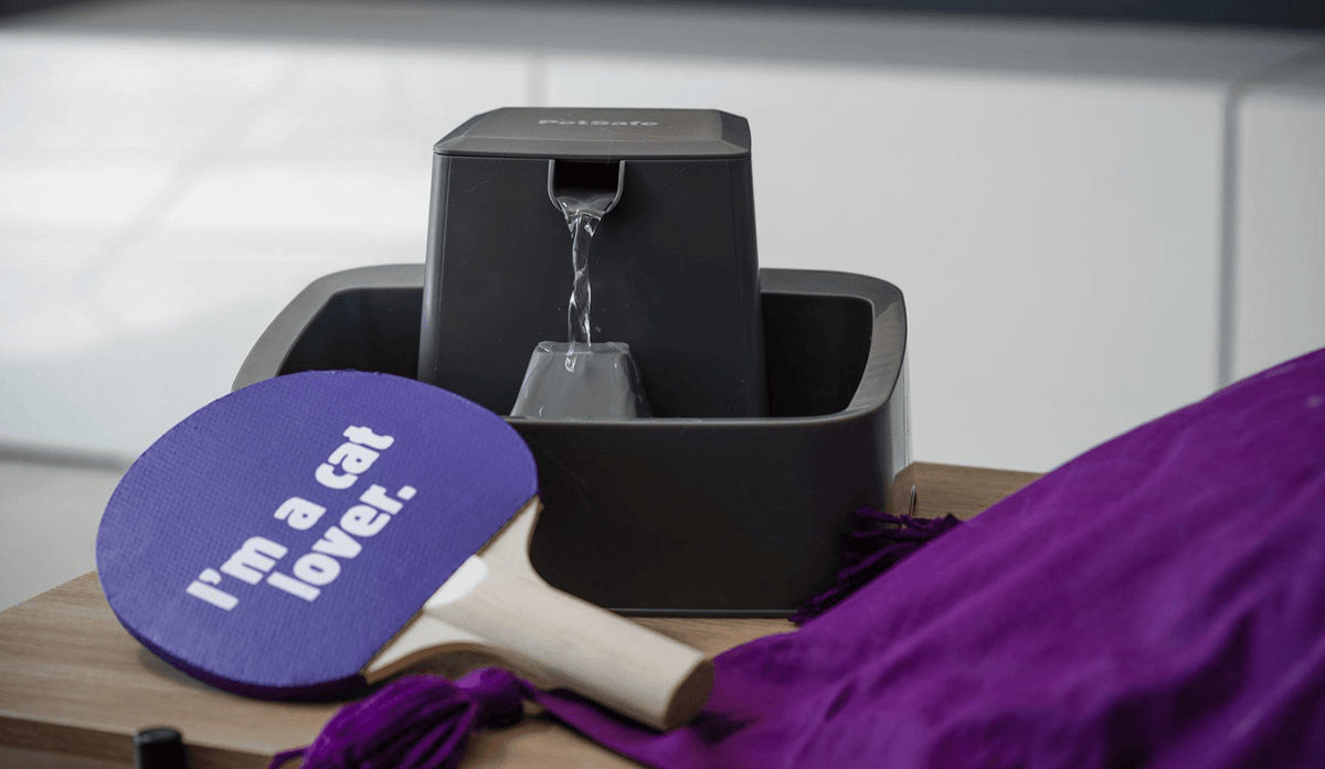 Do Cats Need Flowing Water: Essential Facts Every Owner Must Know