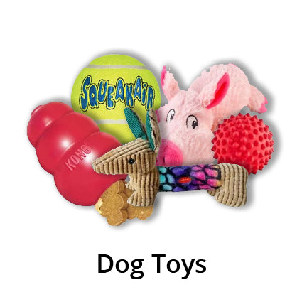 KONG - Senior Dog Toy Gentle Natural Rubber -Fun to Chew, Chase & Fetch-  for Medium Dogs