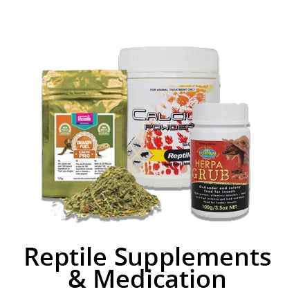 Reptile Supplements & Treatments