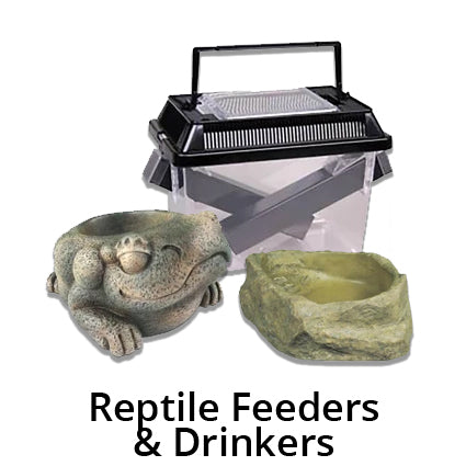 Reptile Feeders & Drinkers