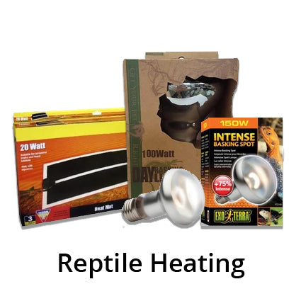 Reptile Heating