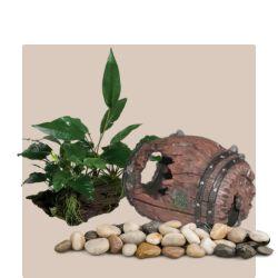 Aquarium-Plants-and-Decorations Kellyville Pets