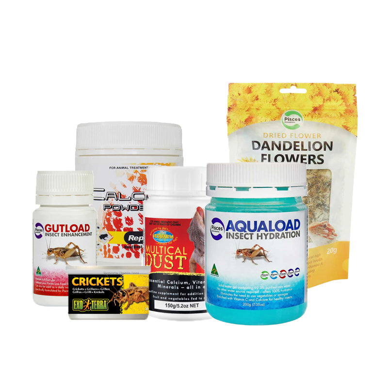 Bearded Dragon Masterclass | Commercial Diet & Supplements