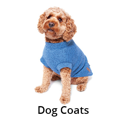 All Dog Coats