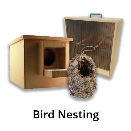 Bird Nesting - Kellyville Pets