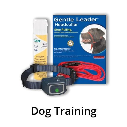 Dog Training and Behaviour - Kellyville Pets