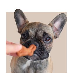 Dog Treats - Kellyville Pets