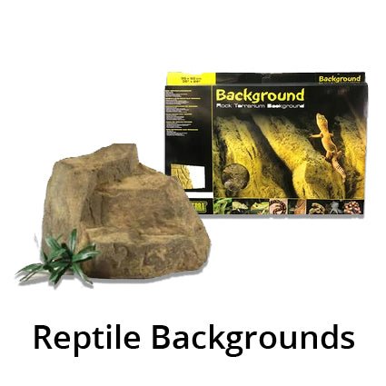 Reptile Backgrounds - Kellyville Pets