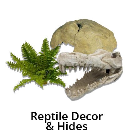 Reptile Decor and Hides - Kellyville Pets