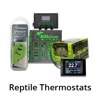 Reptile Thermostats - Kellyville Pets
