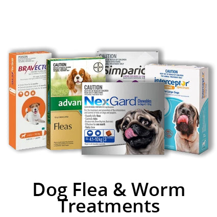 Flea, Tick and Worming Treatments for Dogs