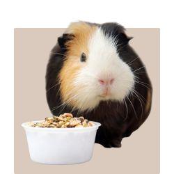 Small Animal Food - Kellyville Pets