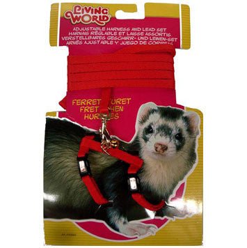 Small Animal Harnesses & Leads - Kellyville Pets