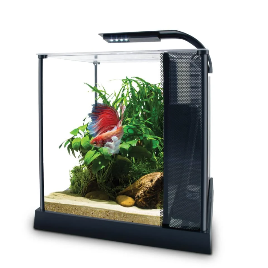 Fluval Betta Premium Aquarium Kit 10L