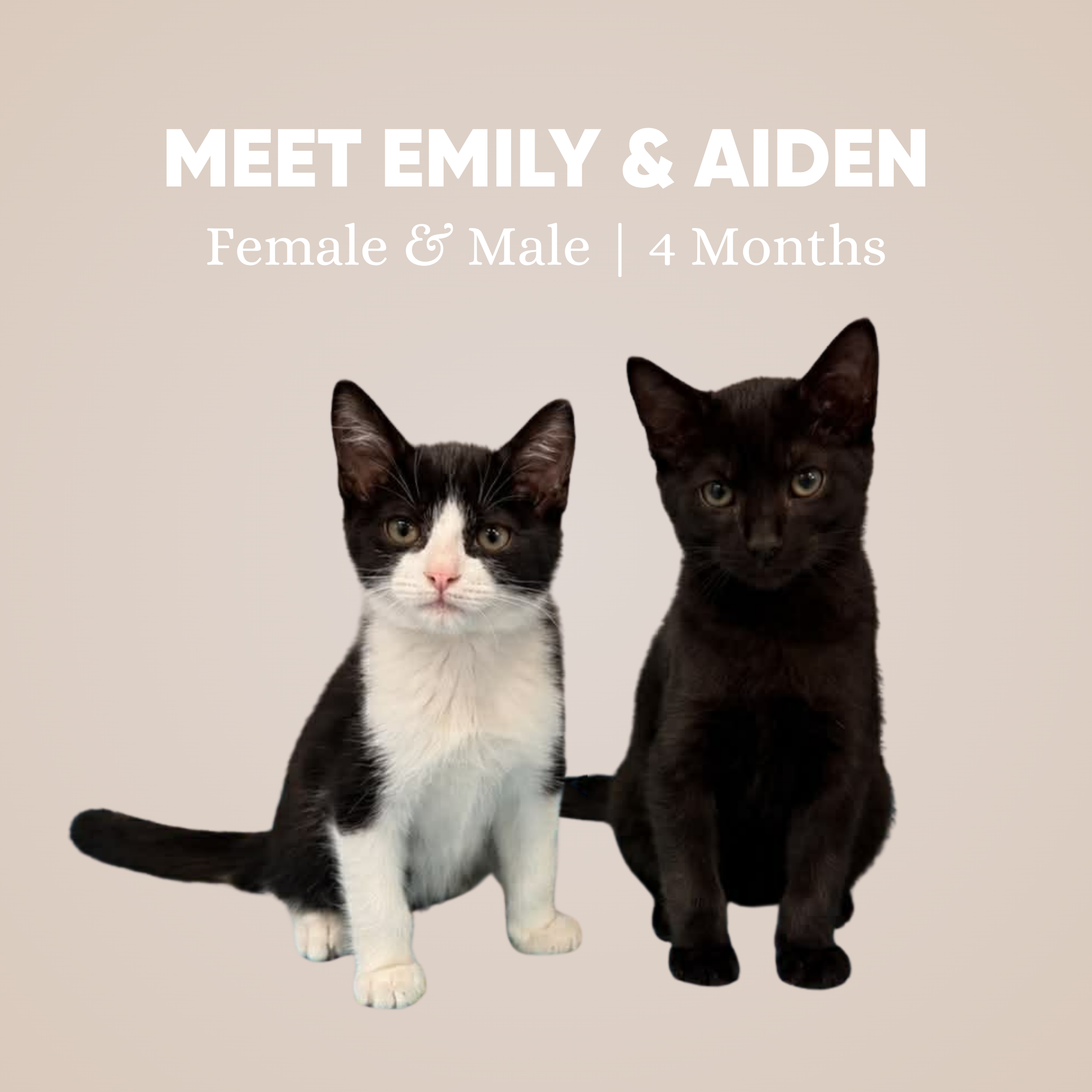 Emily & Aiden