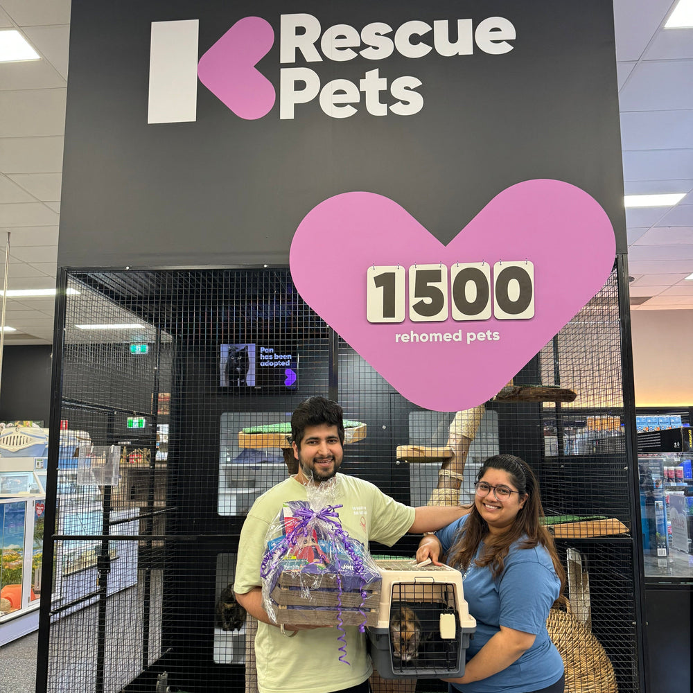 KRescue Pets