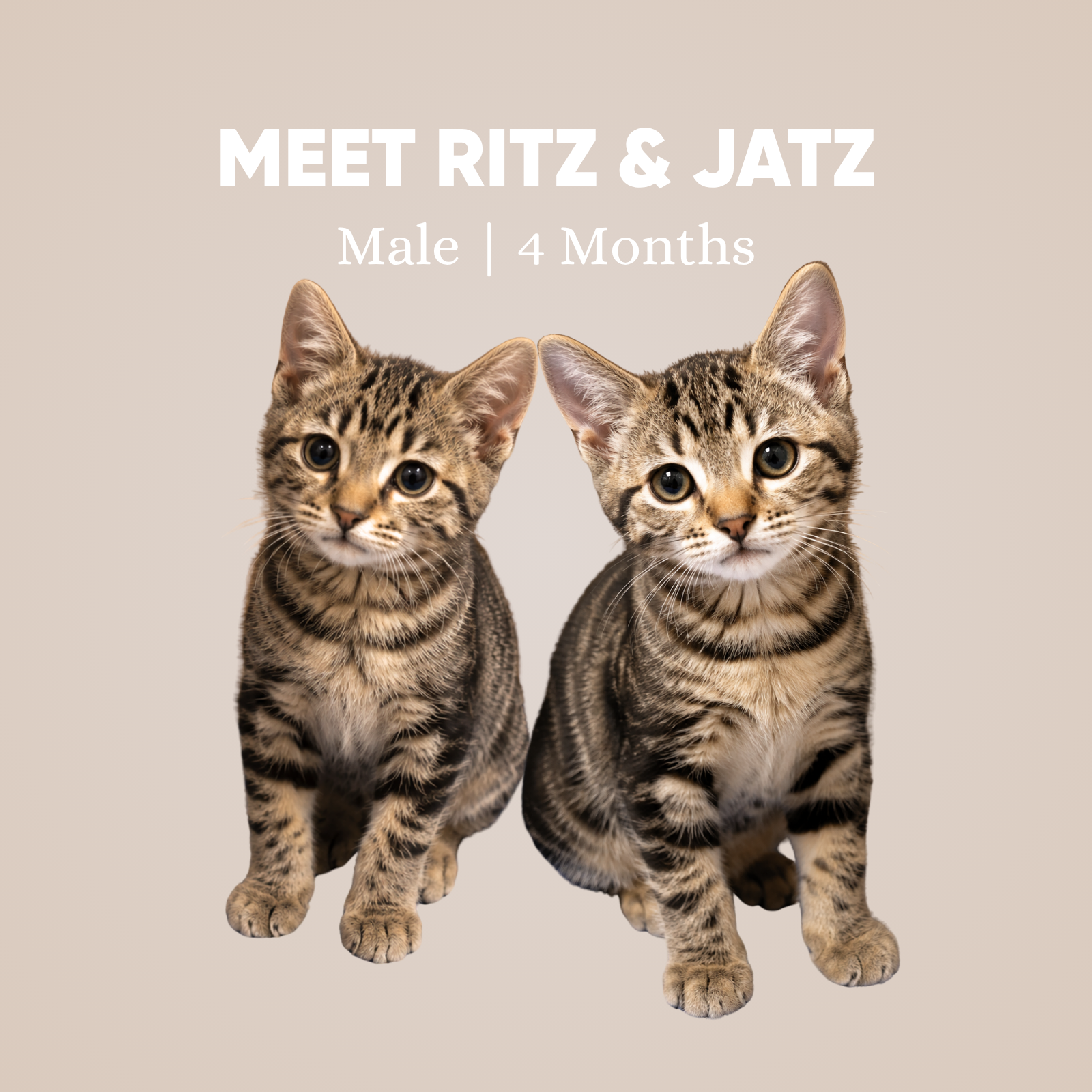Ritz & Jatz
