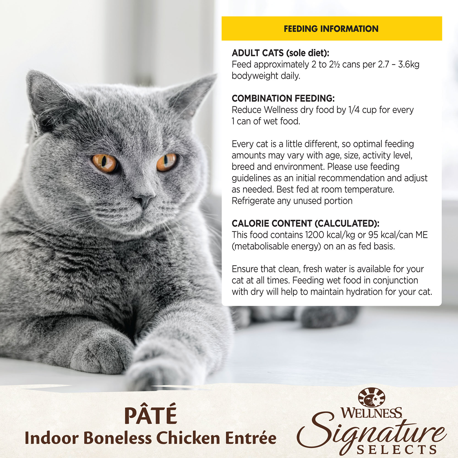 Wellness CORE Signature Selects Cat Food Can Adult Indoor Boneless Chicken Entreé