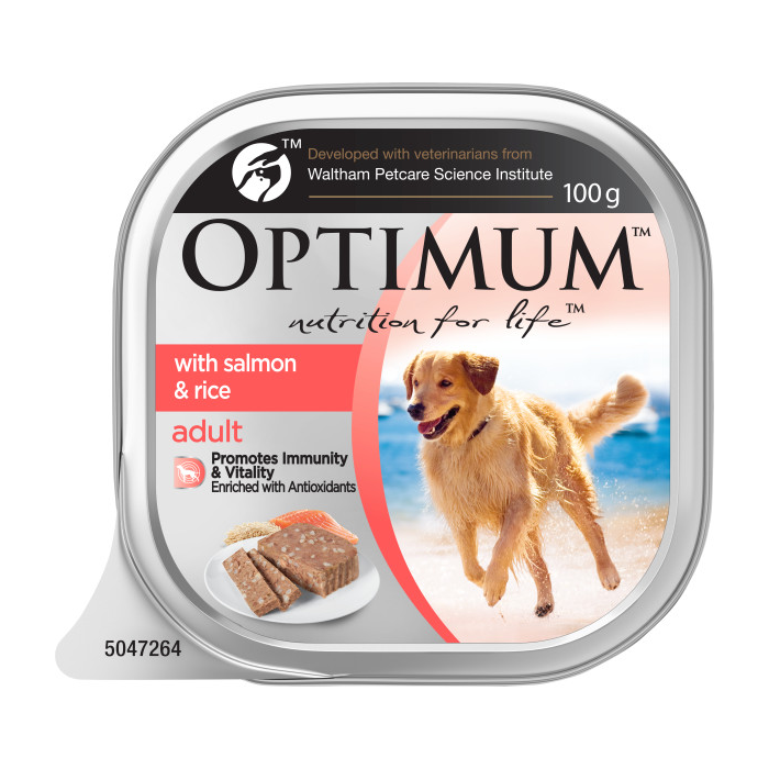 Optimum Dog Food Tray Adult with Salmon & Rice