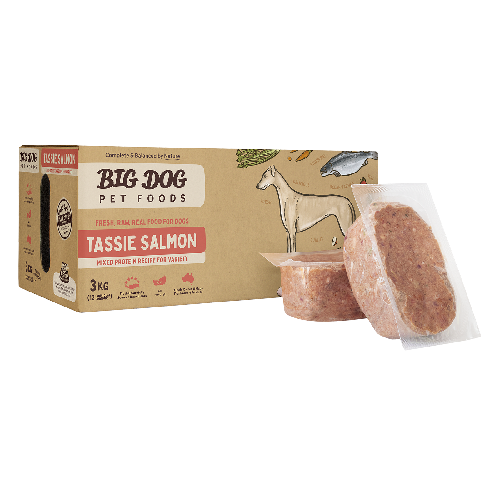 Big Dog Raw Dog Food Tasmanian Salmon 3kg 12pk