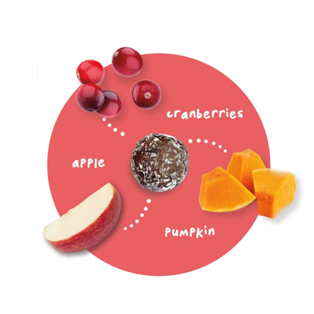 Petervescence Treat-A-Balls Cranberry, Pumpkin & Apple