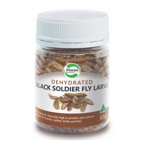 Pisces Dehydrated Soldier Fly Larvae Jar
