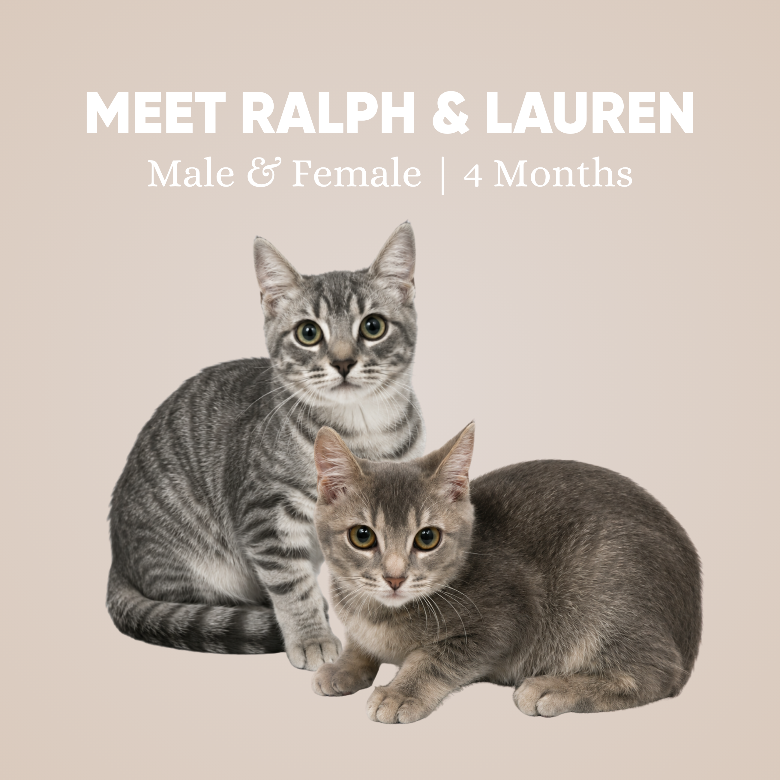 Ralph & Lauren