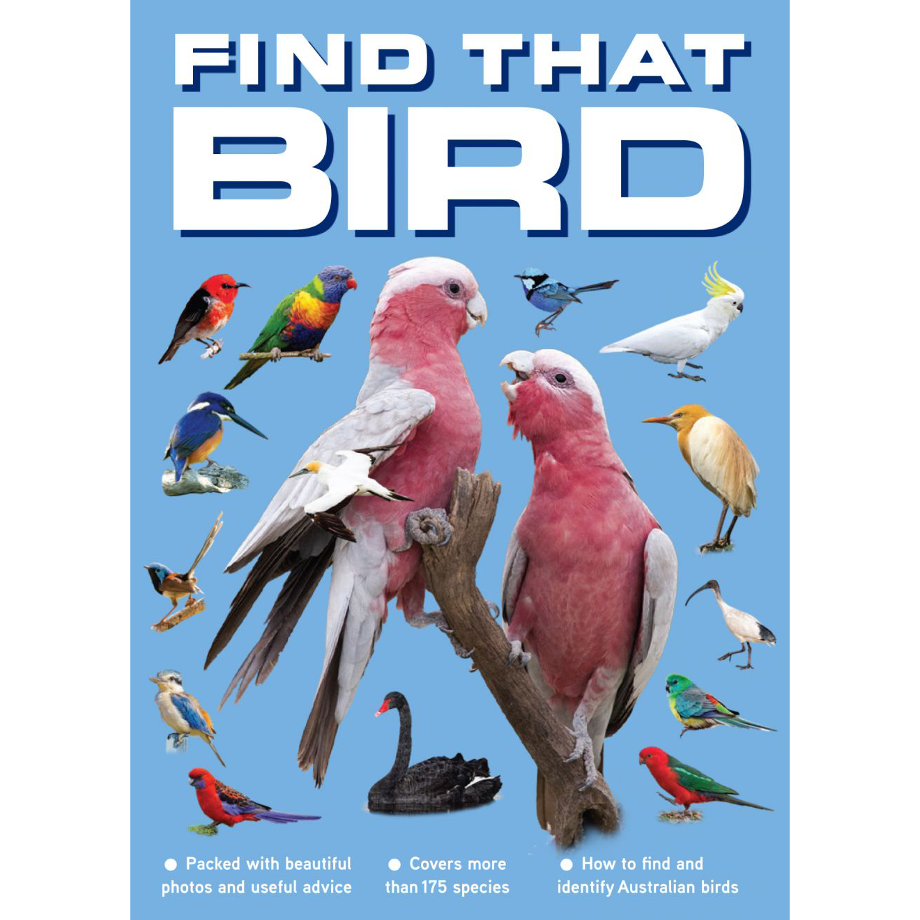 Find That Bird Book