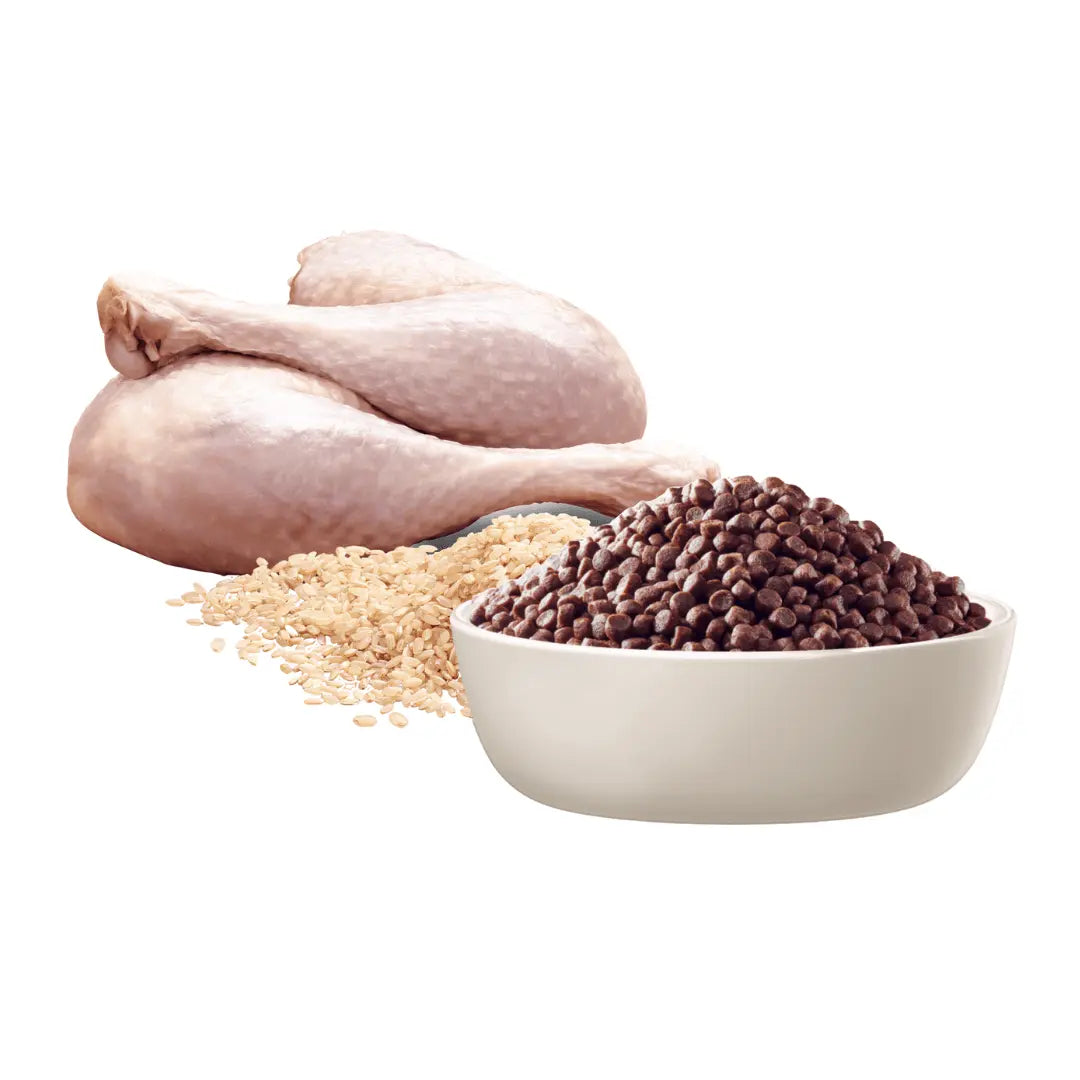 Advance Dog Food Puppy Small Breed Sensitive Skin & Digestion with Turkey and Rice - Kellyville Pets